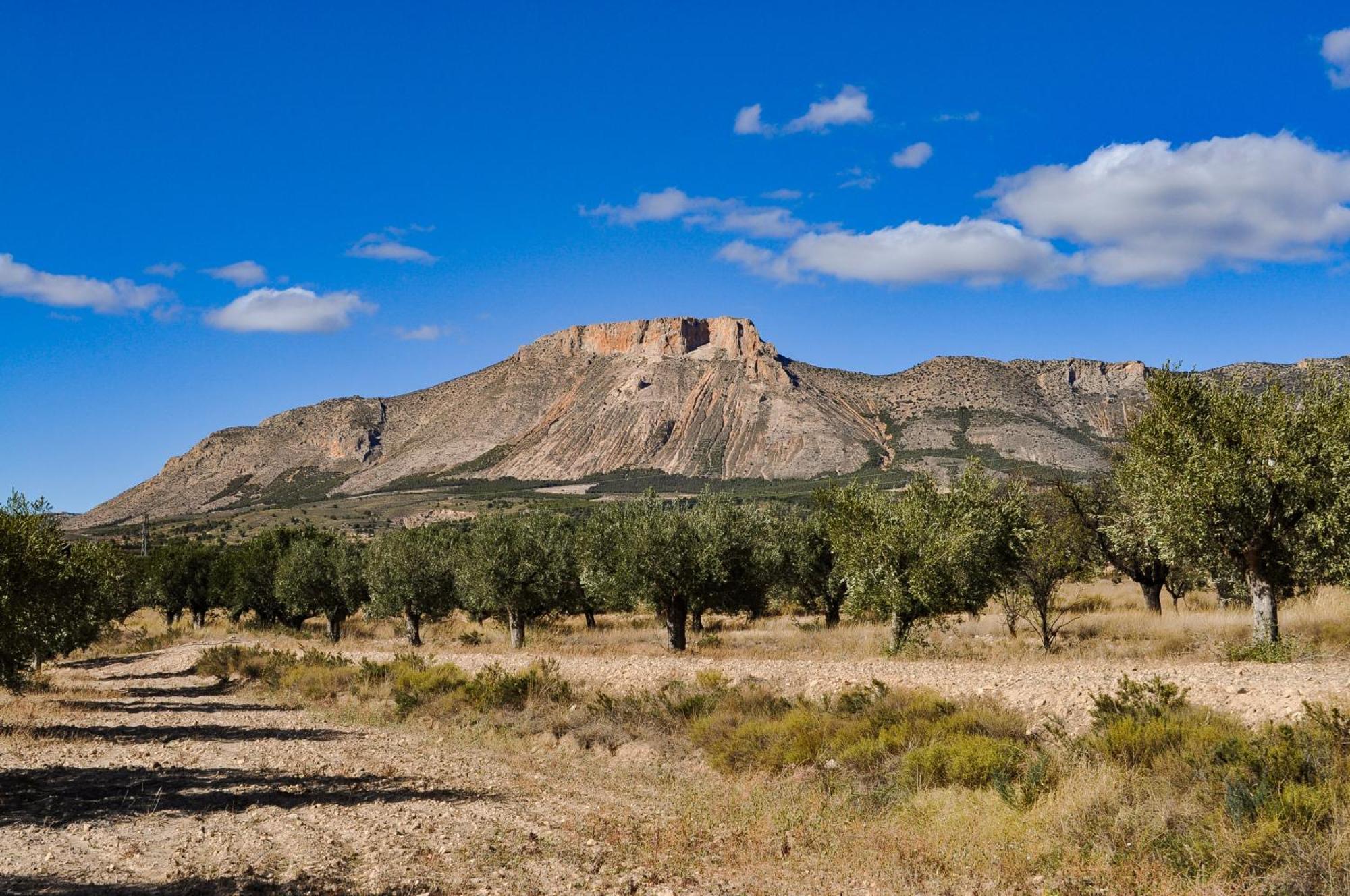 Вилла Casa La Sorpresa La Ermita Экстерьер фото
